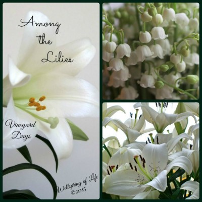 Among the Lilies collage