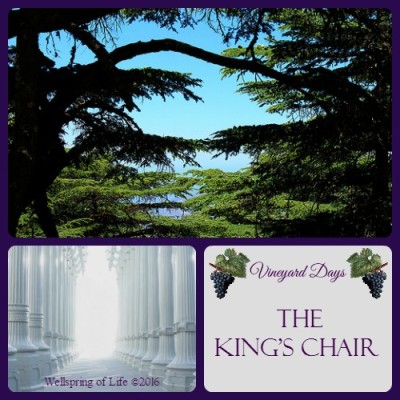 Cedars II PicMonkey Collage