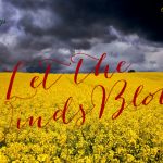 dark clouds over golden field