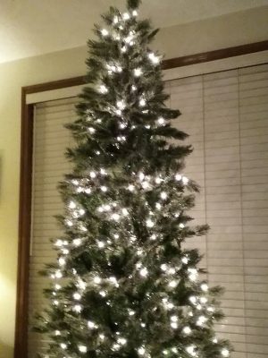 undecorated Christmas tree