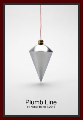 Plumb Line