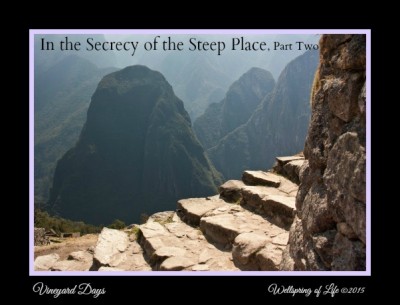 Stairs in cleft of the rock part two