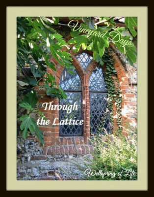 Through the Lattice medium_3848815160