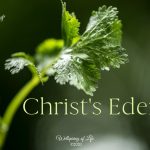 Christ's Eden