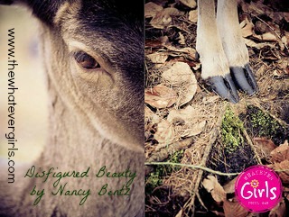 small deer__2416243028WEG